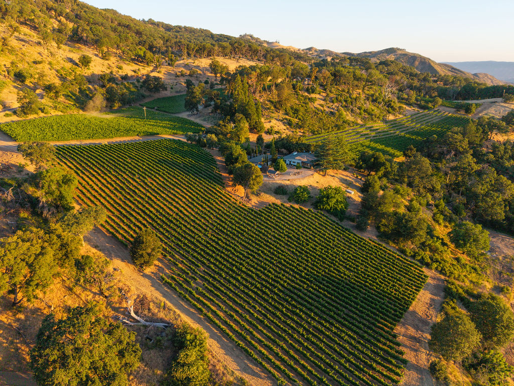 Aerial view of Atlas Reserve vineyards and ranch