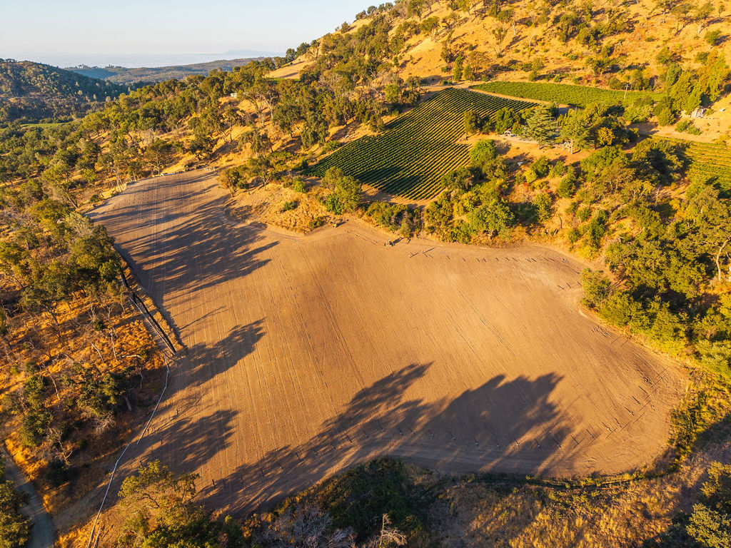 New planting block at Atlas Reserve